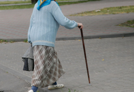 Қарағанды облысында 80 жастағы зейнеткер қарақшыны соққыға жыққан