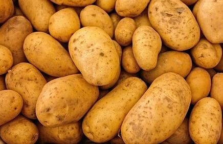 Қарағанды ​​облысында картоп бағасы бірден 30 пайызға арзандады