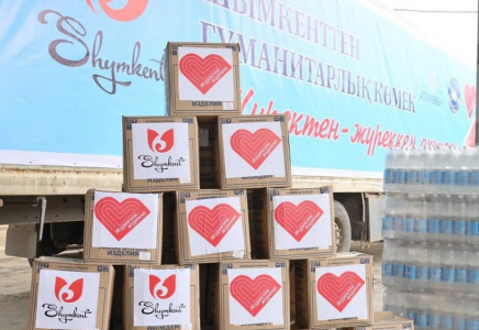 Ассамблея народа Казахстана: по республике задействованы более 12 тыс. волонтеров 