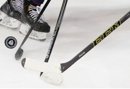 Еліміздің жасөспірім қыздар құрамасы шайбалы хоккейден әлем чемпионатына қатысады