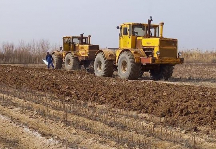 ТҮРКІСТАН: Сауранда 43 мың гектар жерге егін егіледі
