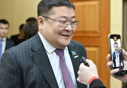 Депутат марқұм Болат Назарбаевтың қызы басқарған компанияны тексеруді сұрады