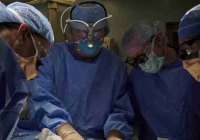 Шошқаның бүйрегін салған алғашқы адам трансплантациядан кейін екі айдан соң көз жұмды