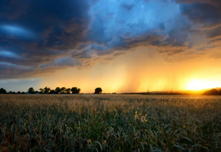 Қазақстанда 30 градусқа дейін ыстық болады