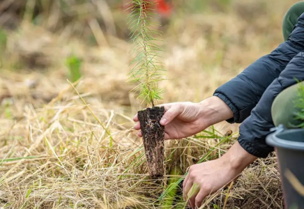 Ақтөбелік зейнеткер өз қаржысына бос жатқан жерді саябаққа айналдырып жатыр Ақтөбелік зейнеткер өз қаржысына бос жатқан жерді саябаққа айналдырып жатыр