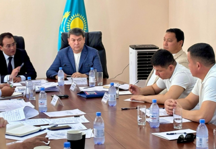 Су ресурстары және ирригация вице-министрі Түркістан облысына келді
