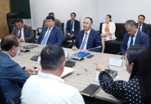 ТҮРКІСТАН: Кореялық инвесторлармен көшелерді жарықтандыру жобалары талқыланды