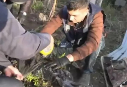 БҚО-да тыйым салынған өсімдіктерді өсіретін жасырын зертхана анықталды