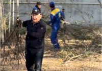 ​«Таза Қазақстан»: жители Шымкента вносят вклад в улучшение экологического облика города