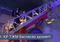 Астанада көпқабатты тұрғын үйден өрт шығып, екі бала құтқарылды