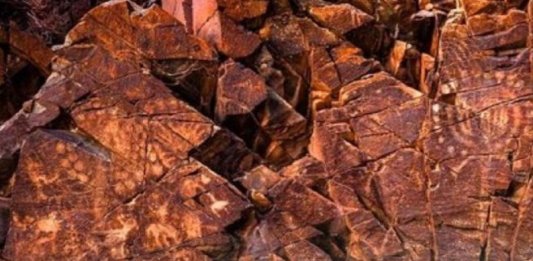 Алматыда «Таңбалы: Бабалар коды» атты халықаралық көрме ашылады