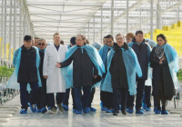 ТҮРКІСТАН: Агроөнеркәсіп жобаларының іске асу барысы басты назарда