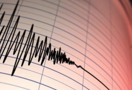 Мексикада 5,6 магнитудалы жер сілкінісі болды