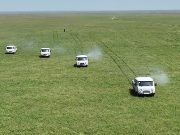 ТҮРКІСТАН: Шегірткеге қарсы күресте техника мен жұмыс күшін түгендеу күнделікті жүргізіледі