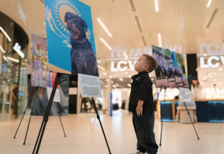 ​«Заң мен Тәртіп»: Шымкентте ерекше фотокөрме өтті