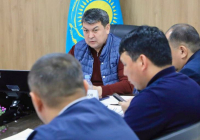 ТҮРКІСТАН: Шегірткеге қарсы химиялық өңдеу жұмыстары қарқын алды