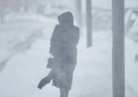 Қазақстандық әйел 4 км жаяу жүріп, көліктер тізбегін қарлы бораннан алып шықты