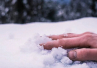 Ақмолалық ер адам өз ауласынан өлі күйінде табылды