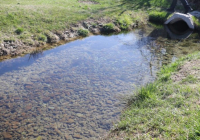 Биыл «Мөлдір бұлақ» акциясы аясында 30 бұлақ тазартылды