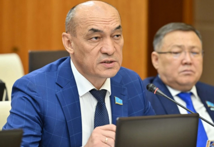 Киіктер көшетін жолдарды әкімдіктер жекеменшікке сатып жіберген – депутат