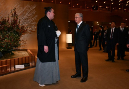 Президент Қасым-Жомарт Тоқаев кәсіпқой сумошы Ерсін Балтағұлмен кездесті