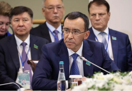 Қазақстан Құрылтай сайлауына ТМД Парламентаралық Ассамблеясының бақылаушыларын шақырды
