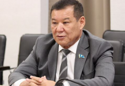 ​Жаңа Конституция жобасы мемлекет пен қоғам арасындағы сенімді нығайтады