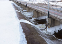 Солтүстік Қазақстандағы Сергеев су қоймасы 120 пайызға толып, тасып жатыр