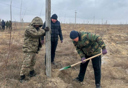 ТҮРКІСТАН: «Жасыл белдеу» аумағында сенбілік өтті