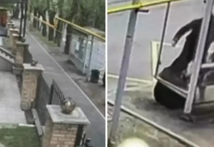 Адам өлтіргені үшін соттылық және шизофрения: Алматыда зейнеткерді соққыға жыққан ер адам туралы не белгілі