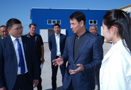 Дархан Сатыбалды қазығұрттықтарға кәсіпкерлікті жандандыруды тапсырды