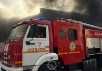 Алматы облысында бес бала өртеніп кете жаздады