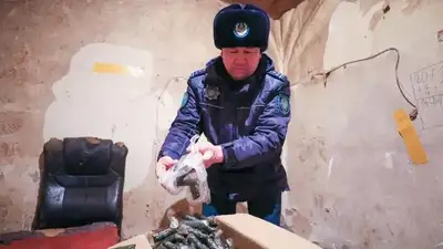 ​Астанада насыбай өндіретін жерасты цехы жойылды