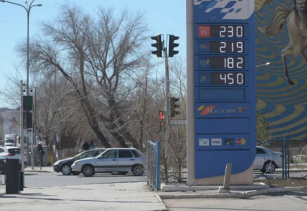 Депутат көлік жүргізушілеріне өтемақы беруді ұсынды