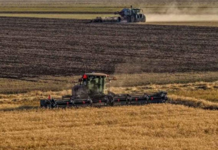 Қазақстанда 14,8 млн тонна астық бастырылды Қазақстанда 14,8 млн тонна астық бастырылды