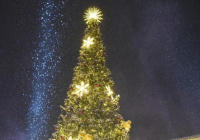 Маңғыстау облысында жасөспірімдер жаңа жылдық шыршаны қасақана бүлдірген