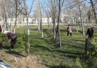 «ТАЗА ҚАЗАҚСТАН»: Мақтааралда өткен сенбілікте 3 тонна қоқыс шығарылды