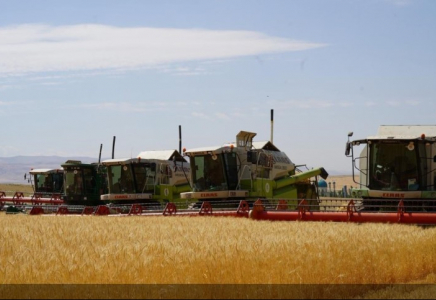 Қазақстанда 12,7 млн тонна астық бастырылды