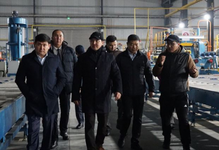 Сауда және интеграция вице-министрі Түркістан облысындағы кәсіпорындарды аралады