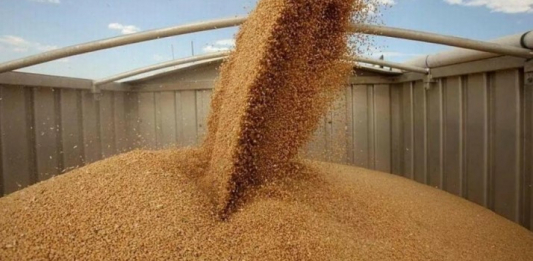 Астық экспорттаушылар жаңа өнімді ерте жөнелтсе, 2026 жылы субсидия алады