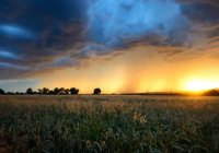 Қазақстанда 30 градусқа дейін ыстық болады