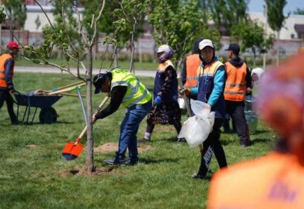 ТҮРКІСТАН: Бір аптада 50-ге жуық сенбілік өткізілді