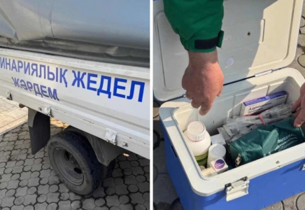 Алматыда қаңғыбас жануарларға арналған жедел жәрдем қызметі пайда болды