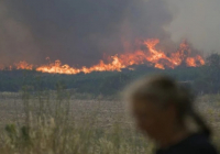 ​Орман өртіне байланысты Ресейдің 4 өңірінде төтенше жағдай жарияланды