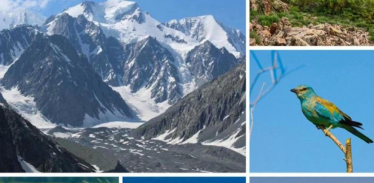 Қазақстан табиғатты қорғау жөніндегі тұжырымдаманы бекітті