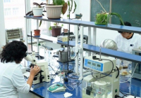 ​Жекеменшік ғылыми ұйымдардың ғалымдары да 56 күндік еңбек демалысын алады — заң жобасы