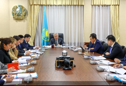 Қазақстанда көлеңкелі экономикамен күресу үшін деректерді талдаудың цифрлық платформасы құрылады