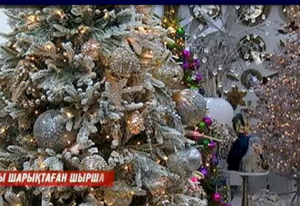 ​Еліміздегі ең қымбат шыршаның құны 6 миллион теңге