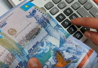 Отбасыларды санатқа бөлу несие мен ипотека алуға әсер ете ме? 