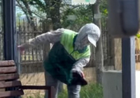 ​ТАЗА ҚАЛА – ЖАЙЛЫ ОРТА: Шымкент көшелерінде кешенді тазалық жұмысы жүруде